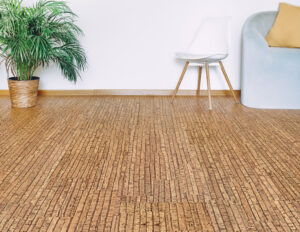 Best flooring des Moines